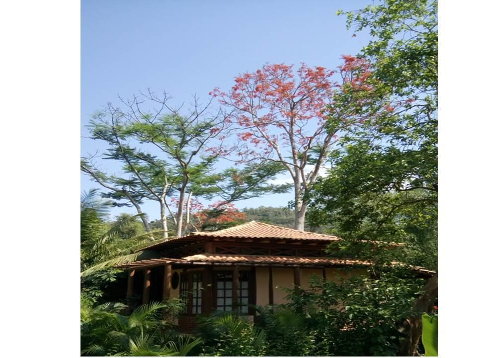 Paraty Villa D'Agua Temporada Exterior photo
